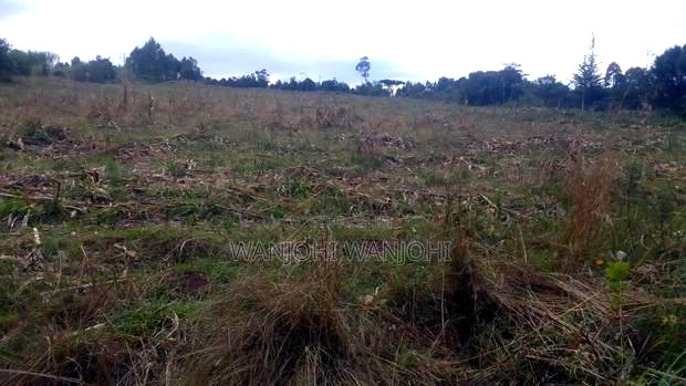 Prime 1 Acre in Gatimu