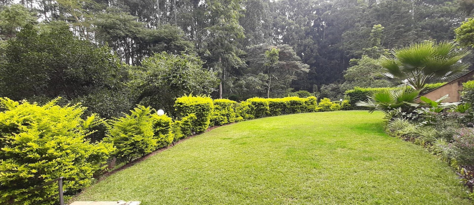 5BR All-Ensuite Townhouse with Fireplace & Mature Garden – Rosslyn