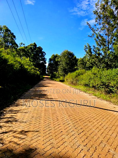 Thika Greens 1/4 Plots. - Image 4