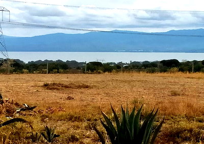 Gated Garden Plot for KSh 20M