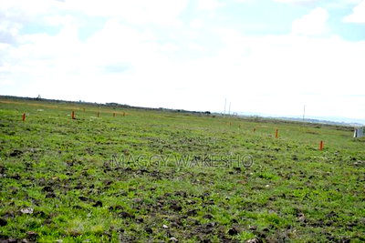 Plots for Sale in Birika - Image 2