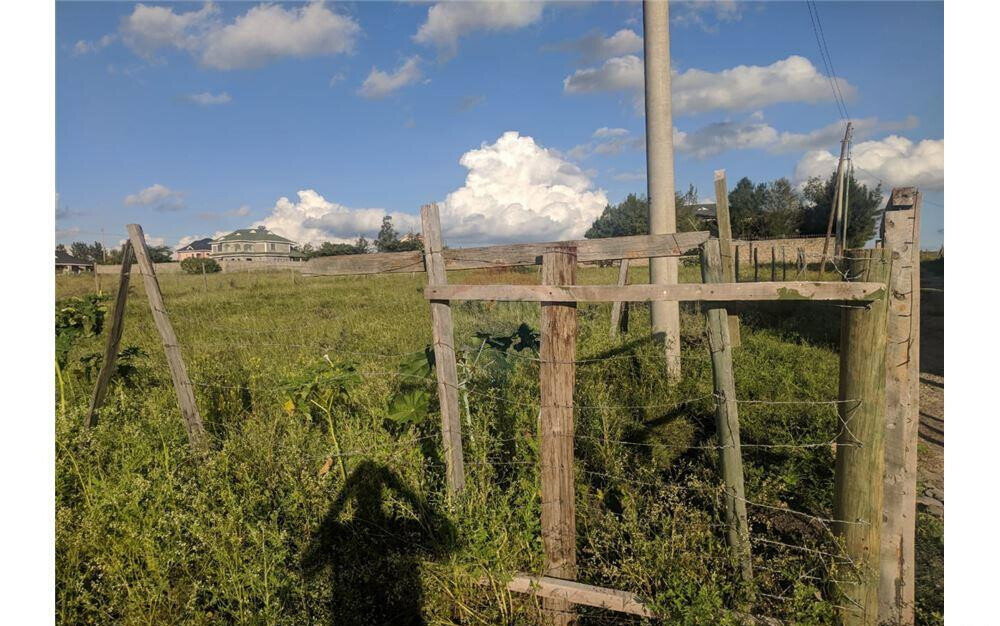 100x100 Plot at KSh 2.5M