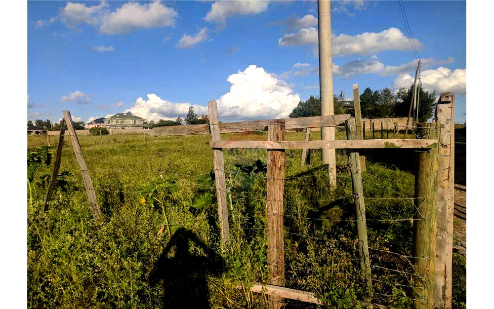 100x100 Plot at KSh 2.5M