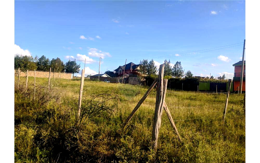 100x100 Plot at KSh 2.5M