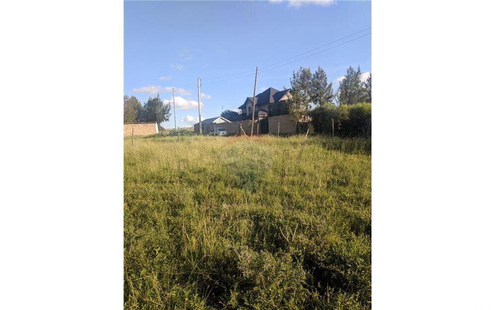 100x100 Plot at KSh 2.5M