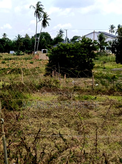 Kanamai 50by100 Prime Plots For Sale! - Image 1