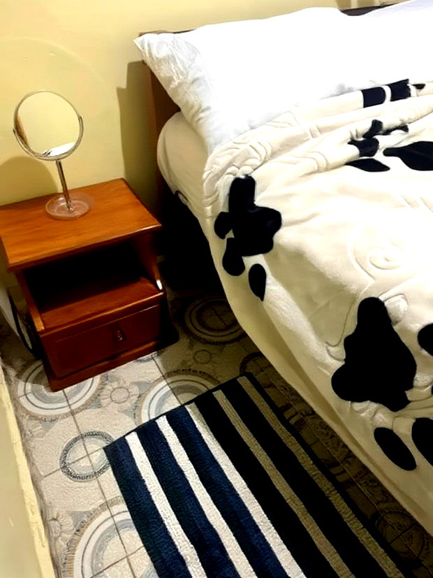 Furnished 1bdrm House in Posta, Ngong Rd, Jamhuri Estate for rent