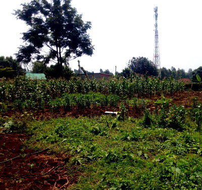 1/2 Acre Garden Plot with Parking at KSh 60M