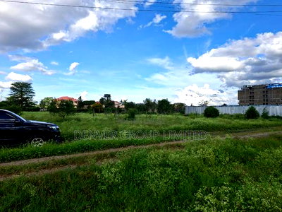 Diaspora Joska Plots Commercial Investment - Image 2