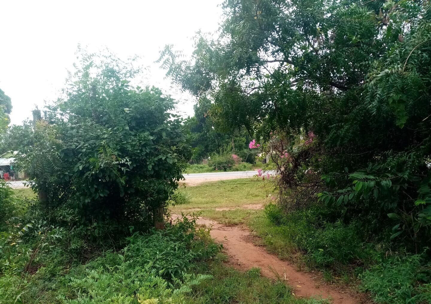 6-Acre Road Frontage Plot in Malindi