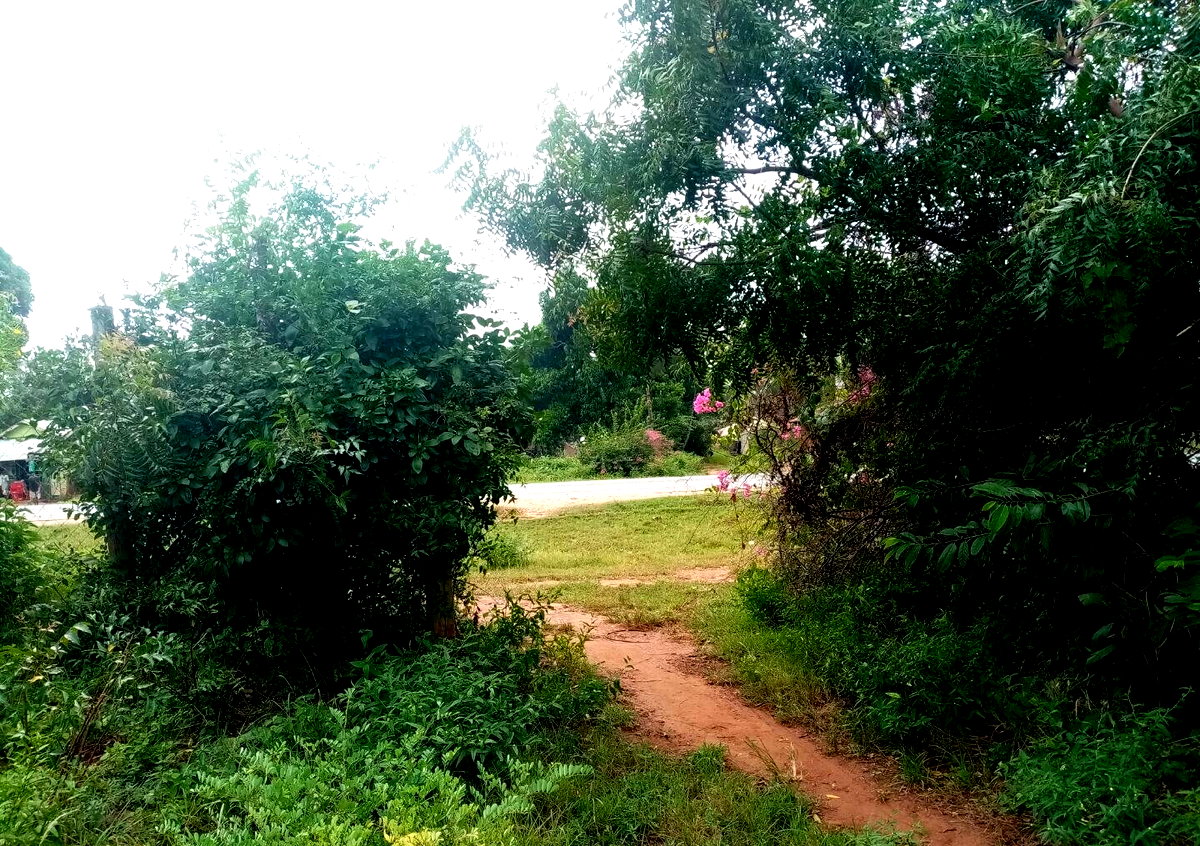6-Acre Road Frontage Plot in Malindi