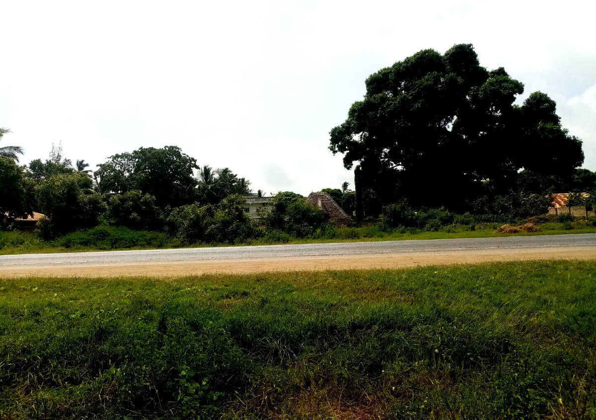 6-Acre Road Frontage Plot in Malindi