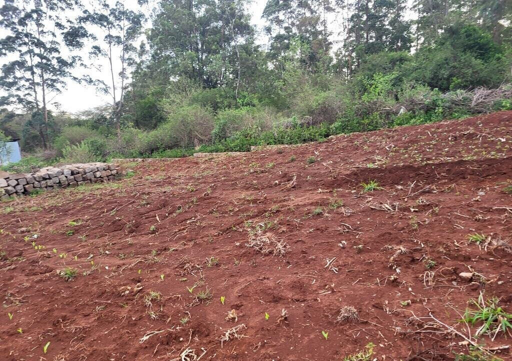 Quarter Acre in Kerarapon at KSh 16M