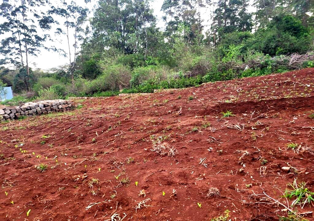 Quarter Acre in Kerarapon at KSh 16M