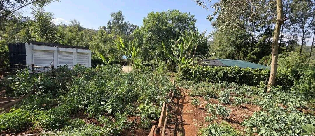 1/4 Acre Plot with Mature Trees - Kajiado