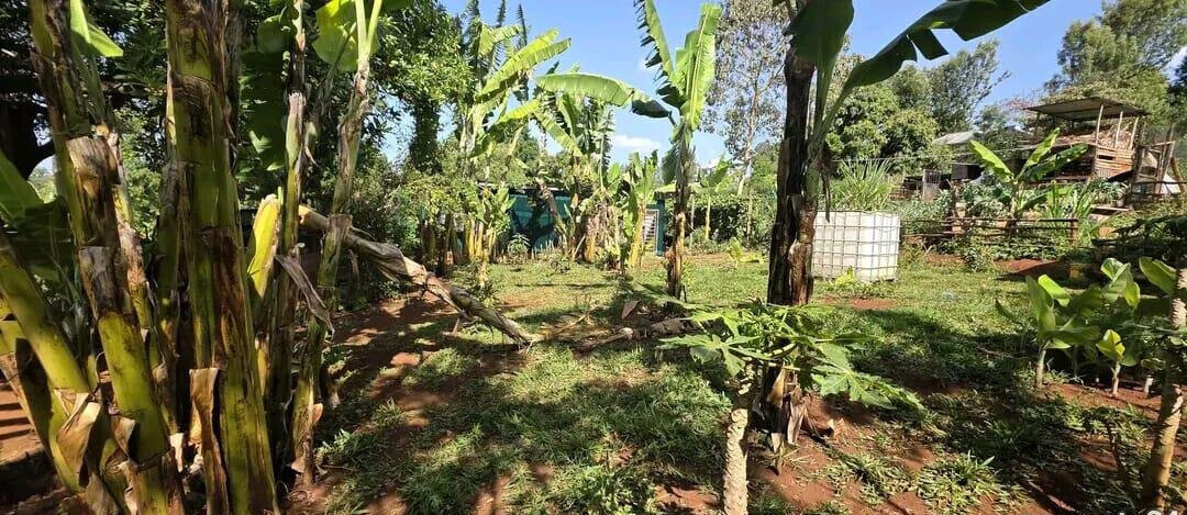 1/4 Acre Plot with Mature Trees - Kajiado