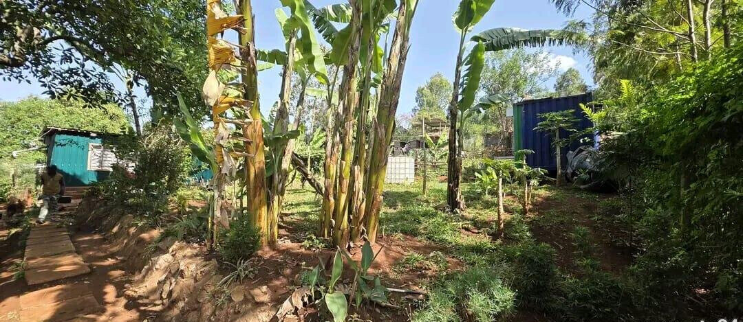 1/4 Acre Plot with Mature Trees - Kajiado