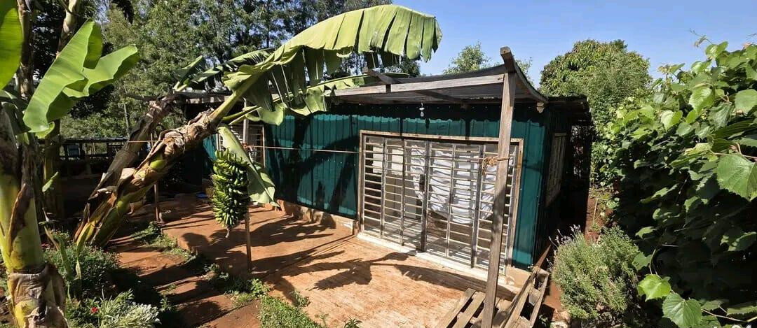 1/4 Acre Plot with Mature Trees - Kajiado