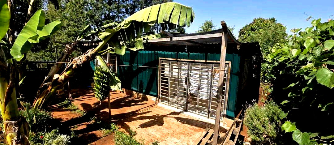 1/4 Acre Plot with Mature Trees - Kajiado