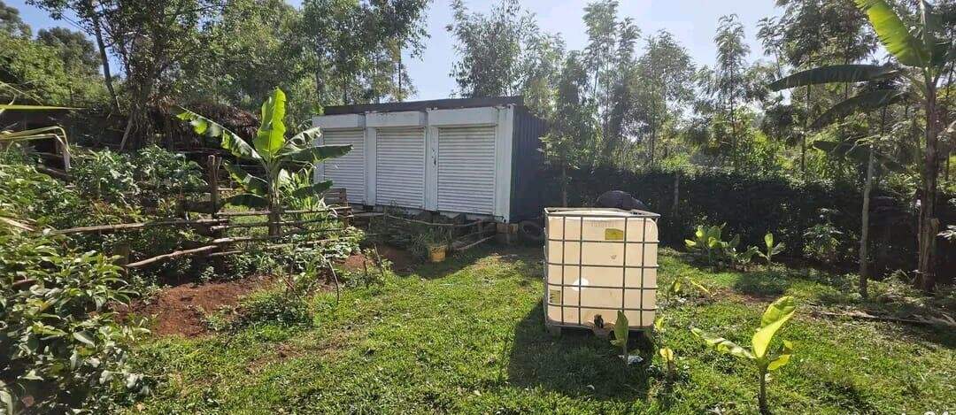 1/4 Acre Plot with Mature Trees - Kajiado