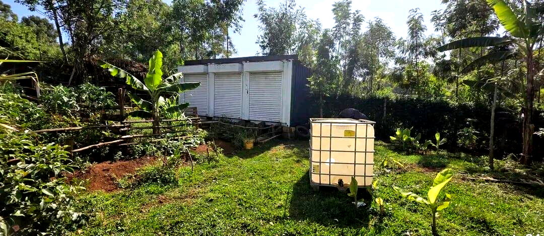 1/4 Acre Plot with Mature Trees - Kajiado