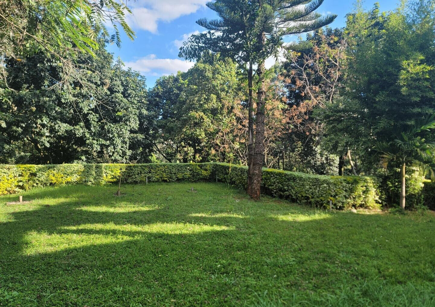 Garden Oasis for KSh 125M