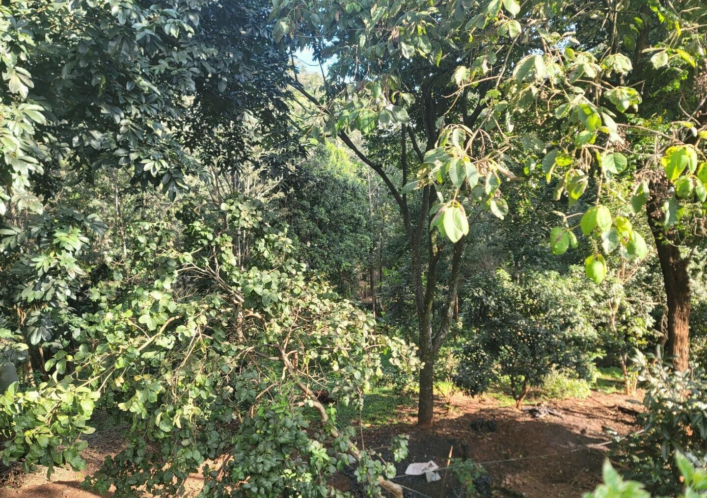 Garden Oasis for KSh 125M