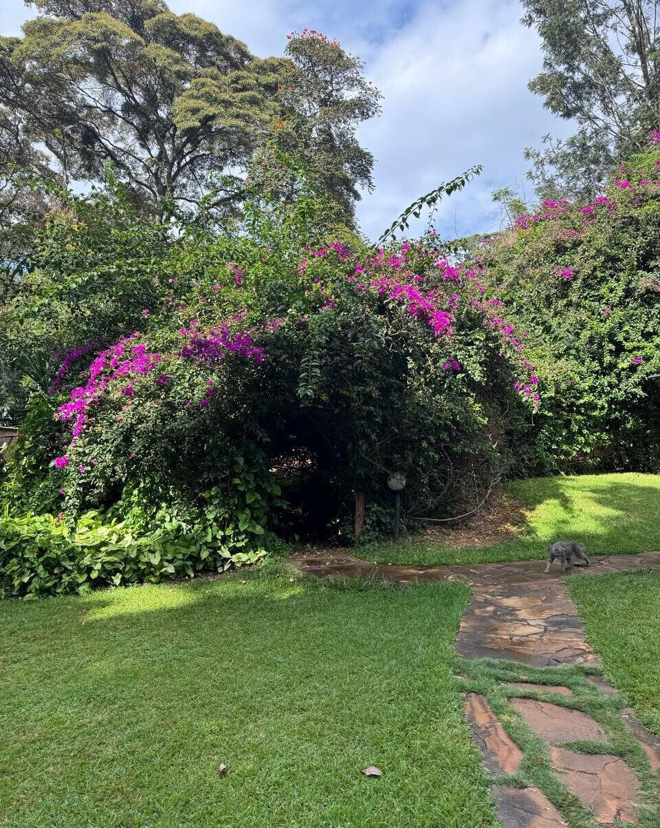0.9 Acre Lavington Plot at KSh 165M