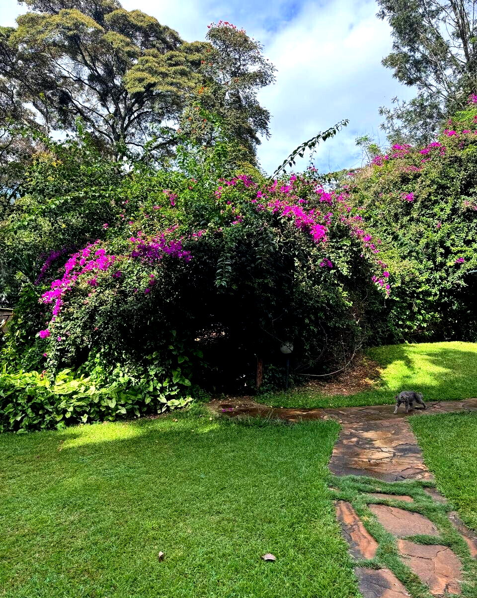0.9 Acre Lavington Plot at KSh 165M