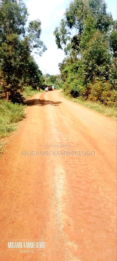 Kangaru Embu 50*100 - Image 1