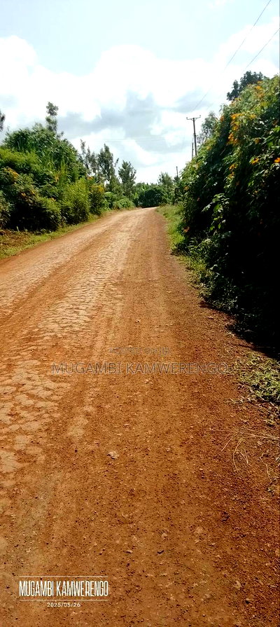 Kangaru Embu 50*100 - Image 2