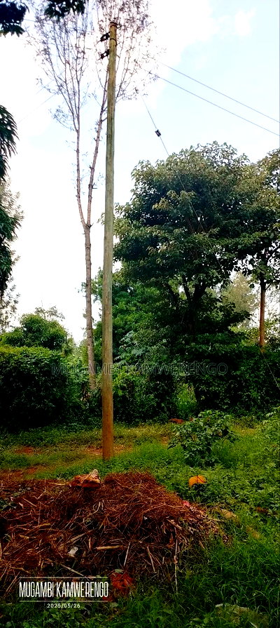 Kangaru Embu 50*100 - Image 4