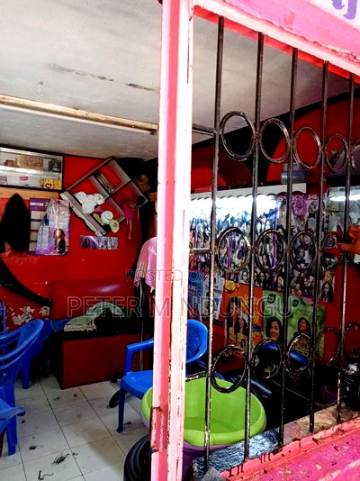 Prime Salon on Sale - Image 6