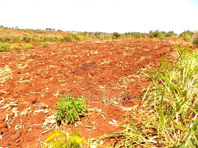 Kangema Farms 50x100 Plots. - Image 2