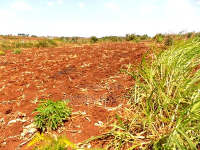 Kangema Farms 50x100 Plots. - Image 3