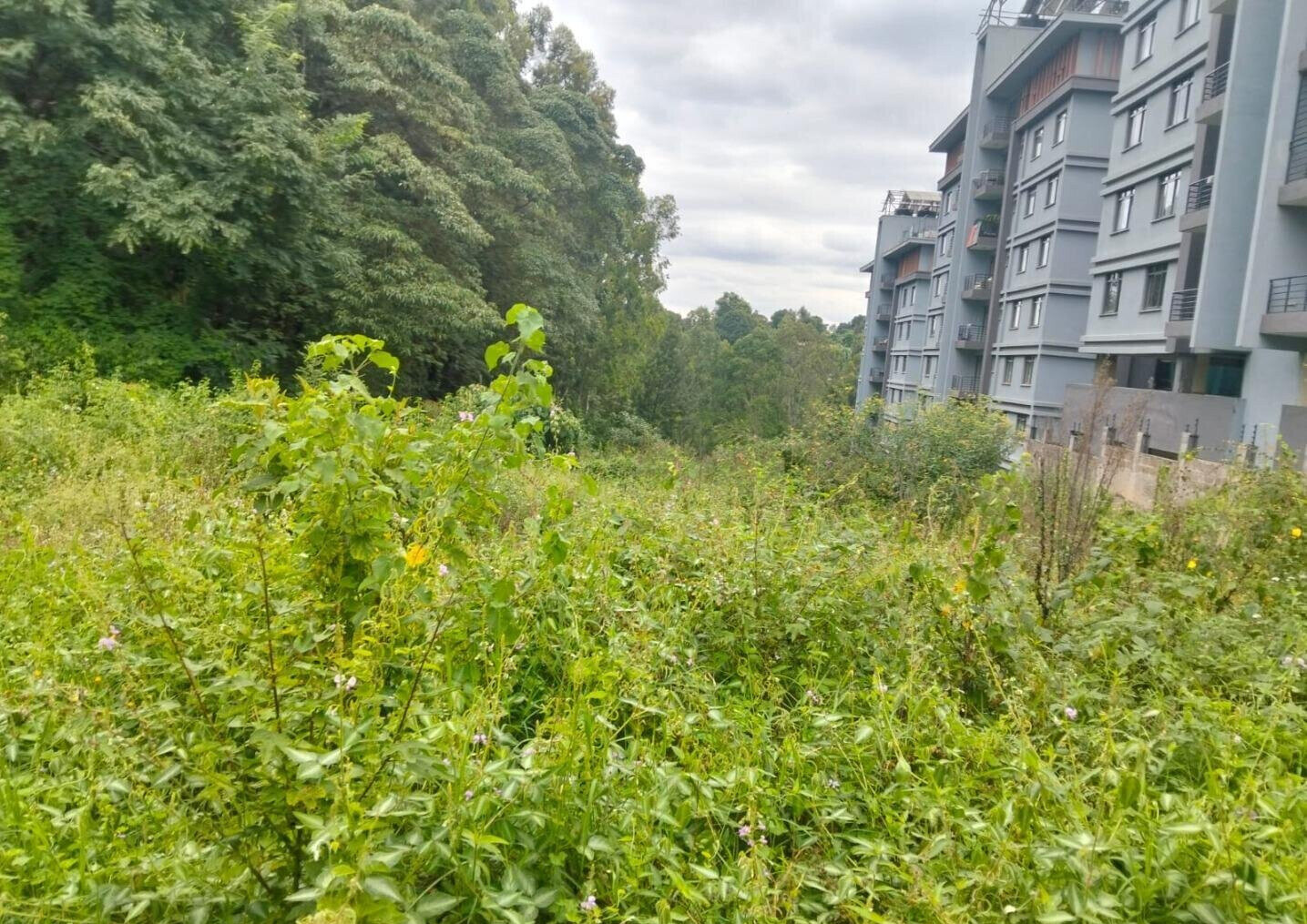 2-Acre Land at KSh 120M