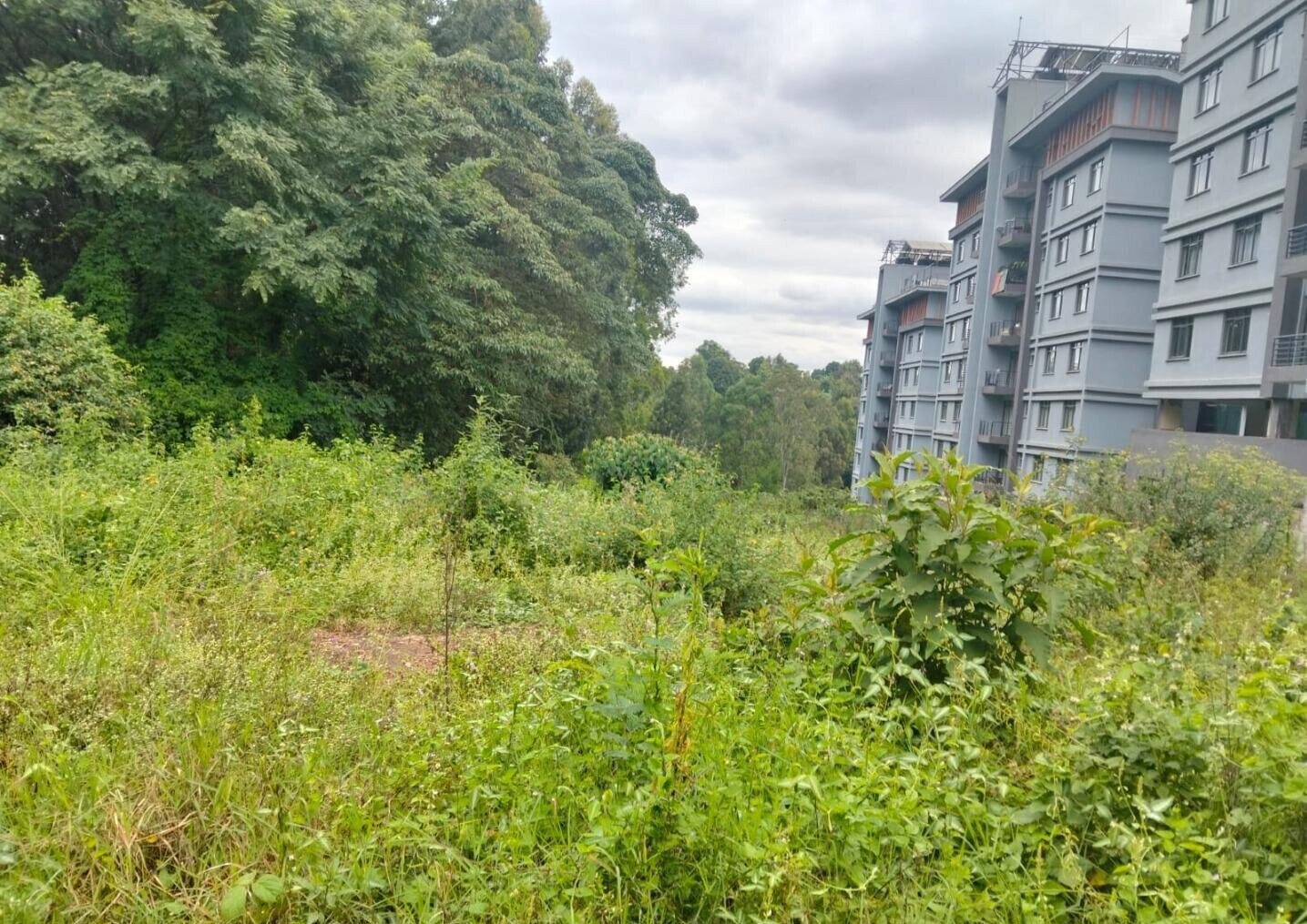 2-Acre Land at KSh 120M