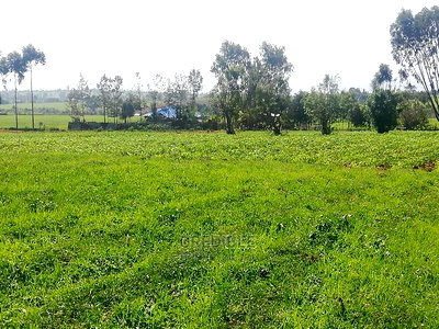 Affordable Plots at Njoro Nakuru - Image 2