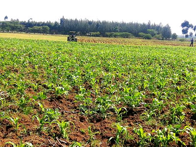 Affordable Plots at Njoro Nakuru - Image 6