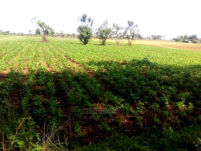 Affordable Plots at Njoro Nakuru - Image 3