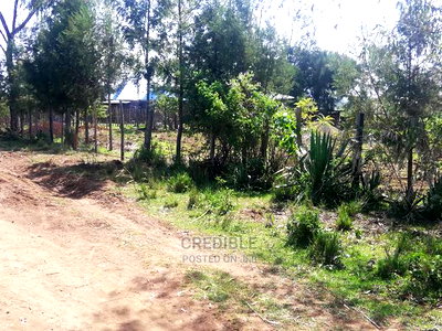 Affordable Plots at Njoro Nakuru - Image 9