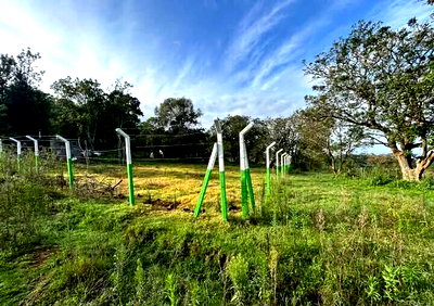19-Acre Office Space with Garden