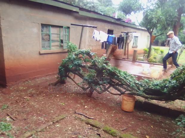 3bdrm Bungalow in Ridgeways, Nairobi Central for rent