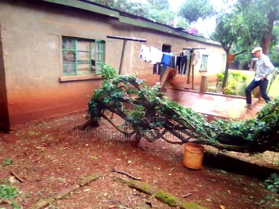 3bdrm Bungalow in Ridgeways, Nairobi Central for rent - Image 15