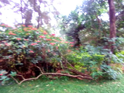3bdrm Bungalow in Ridgeways, Nairobi Central for rent - Image 11