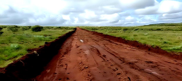 Affordable 50x100 Plot of Land in Nachu Kikuyu
