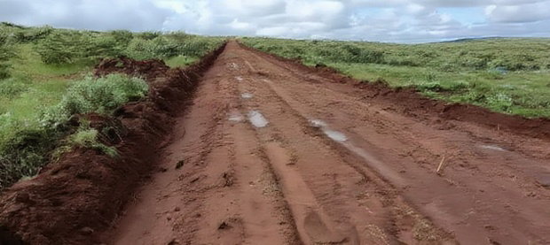 Affordable 50x100 Plot of Land in Nachu Kikuyu