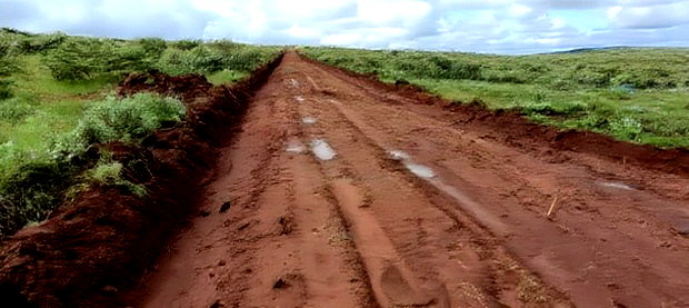 Affordable 50x100 Plot of Land in Nachu Kikuyu