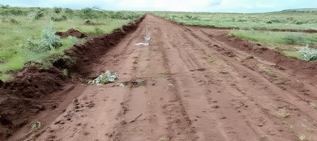 Affordable 50x100 Plot of Land in Nachu Kikuyu