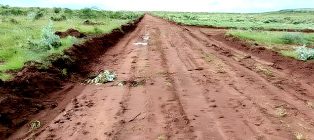 Affordable 50x100 Plot of Land in Nachu Kikuyu